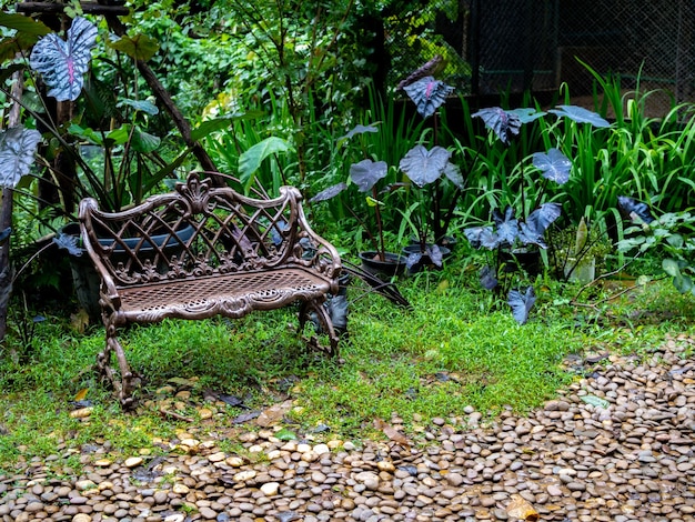 緑の森の背景に荒涼とした庭で空の古い孤独なヴィンテージ鉄ベンチ シート椅子
