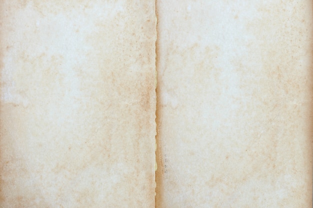 Empty old vintage brown page paper texture background.