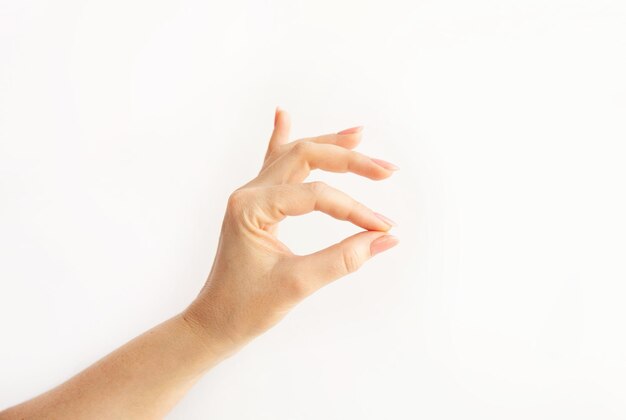 Empty open woman hand on white background