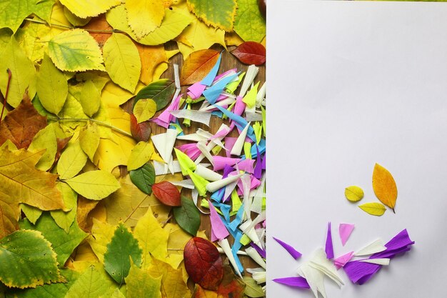 Empty paper on autumn leaves background and pen