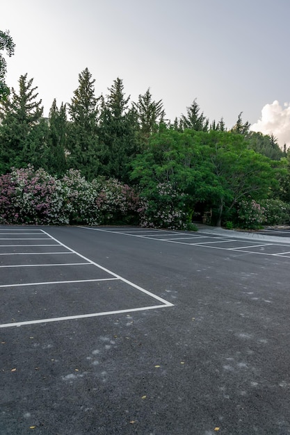 Foto parcheggio vuoto per auto nel parco