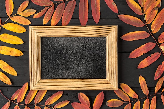 Empty photo frame and colorful autumn leaves on black 