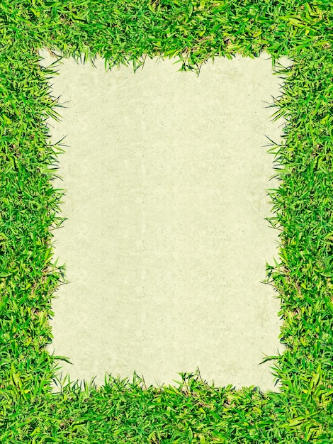 Foto portafoto vuoto da erba verde e sfondo concreto.