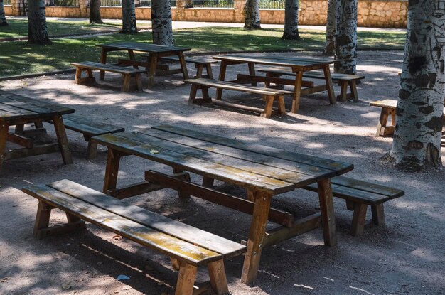 Empty picnic tables among trees on the river promenade