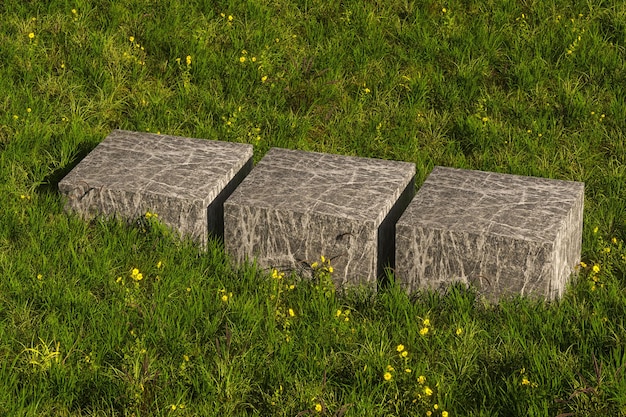 Empty platform in the grass field 3d rendering