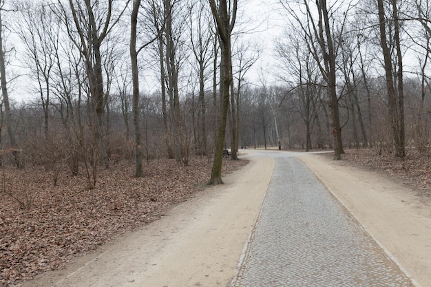 Empty public park in winter in berlin