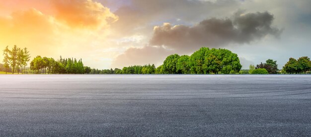 Photo empty race track and green woods nature landscape at sunset