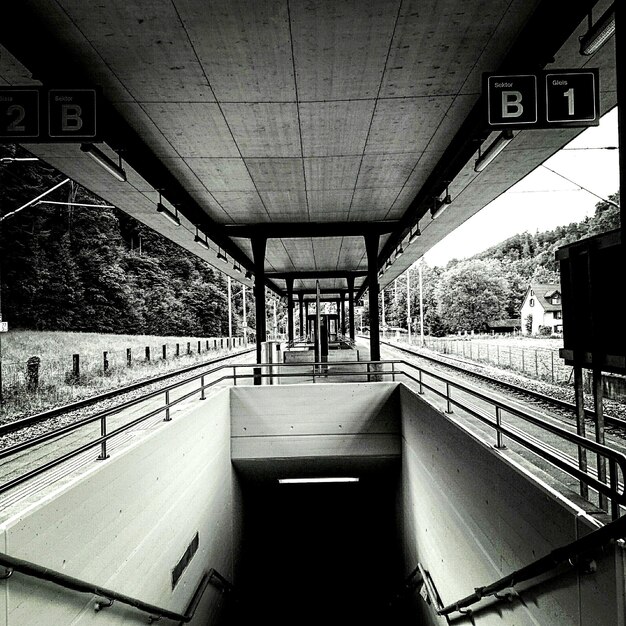 Empty railroad platform against forest