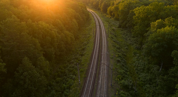 Empty railway track in the forest at sunset or dawn.