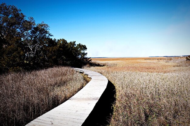 Empty road against clear blue sky