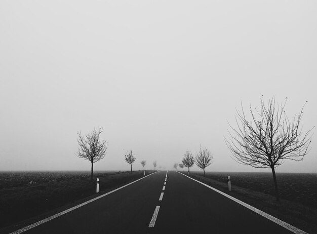 Photo empty road along bare trees against clear sky