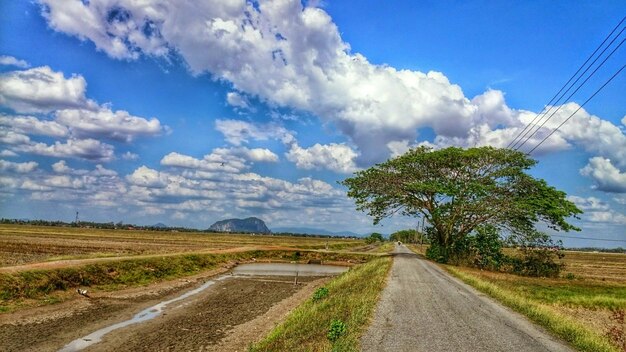 写真 田舎の風景に沿った空の道路