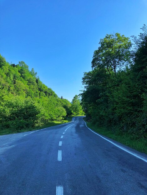 Empty road along trees and against blue sky