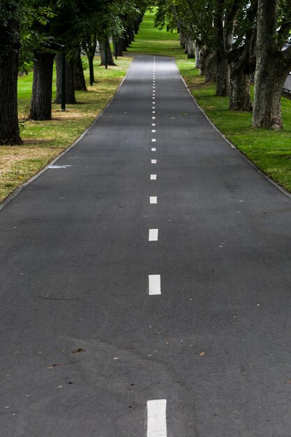 街の木々に沿った空の道