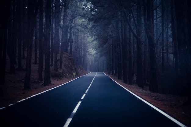 Empty road along trees in forest