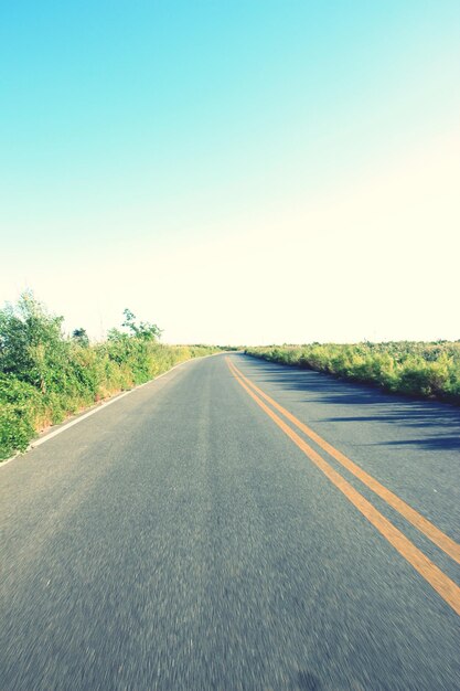 Empty road along trees