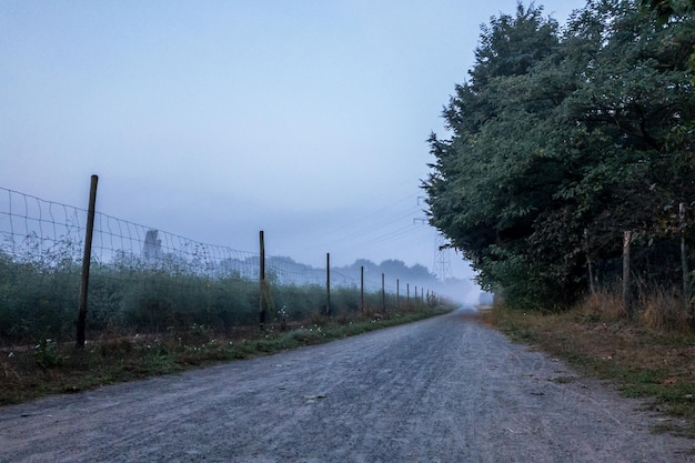 Empty road along trees