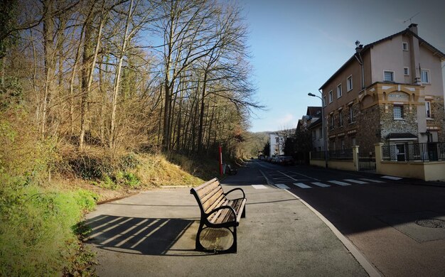 Empty road along trees