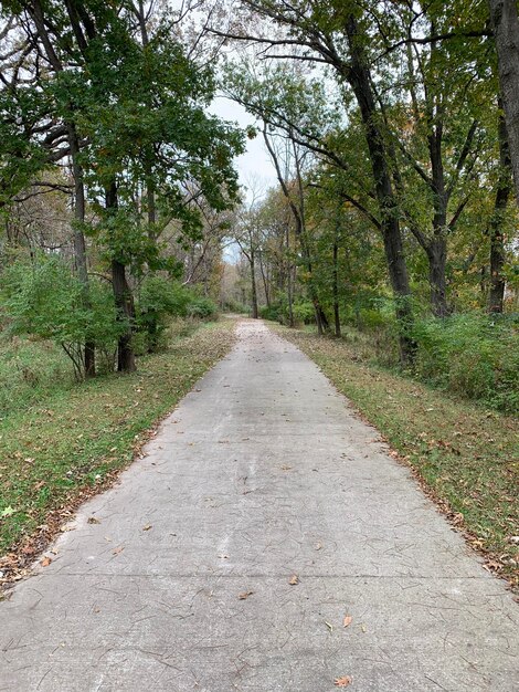 Foto strada vuota lungo gli alberi