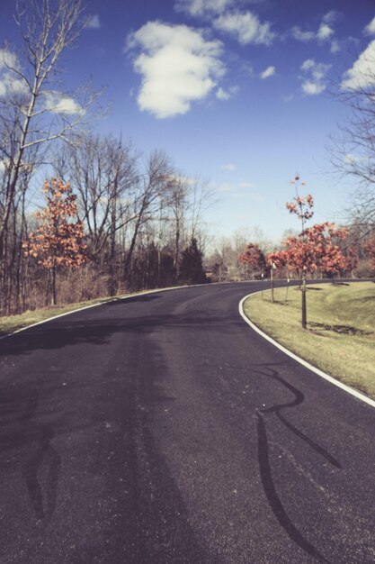 Empty road along trees