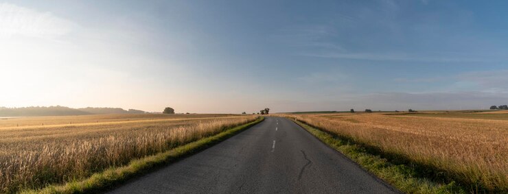 Фотография пустая дорога посреди сельскохозяйственного поля на фоне неба