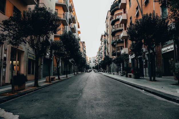 Empty road amidst buildings in city