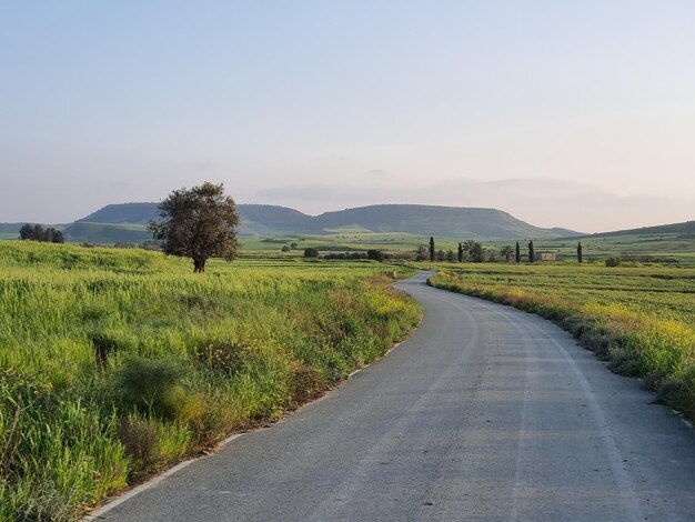 Empty road amidst field against sky