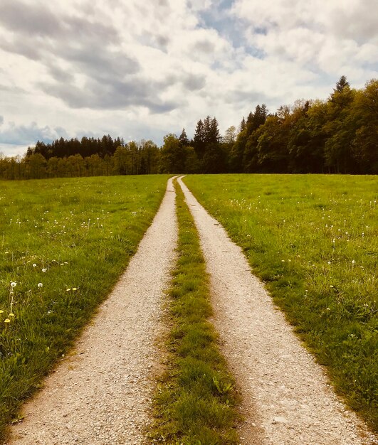 Foto strada vuota in mezzo alle piante sul campo contro il cielo