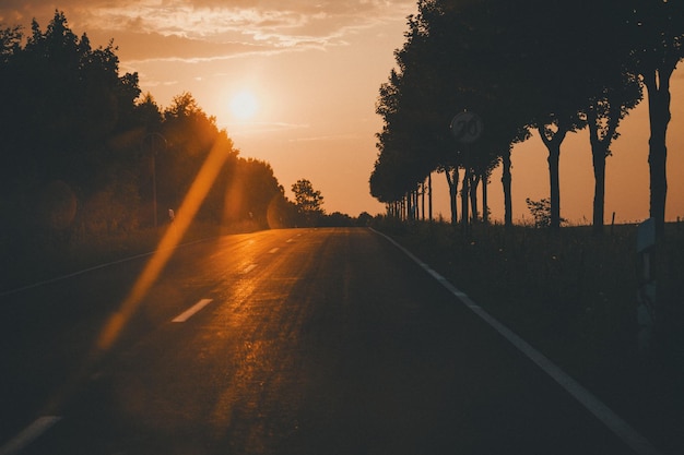 Photo empty road amidst trees against sky during sunset