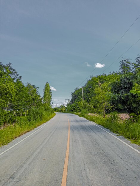 Photo empty road amidst trees against sky