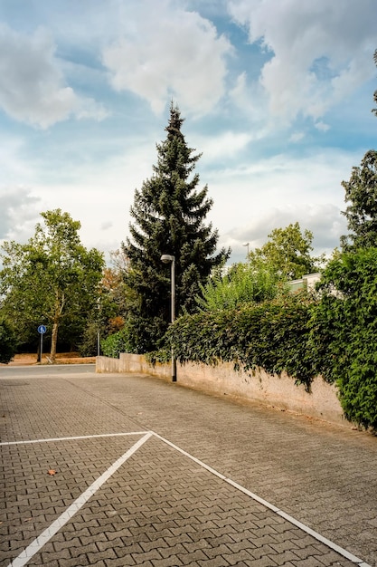 Foto strada vuota in mezzo agli alberi contro il cielo