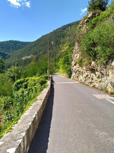 Foto strada vuota in mezzo agli alberi contro il cielo