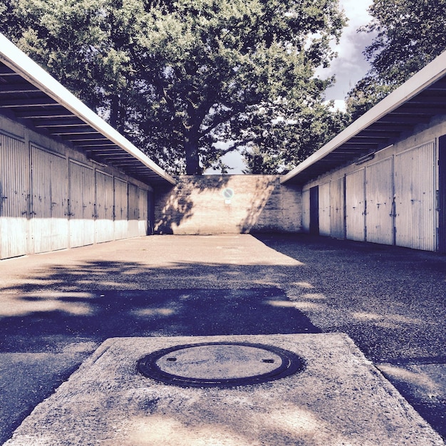 Foto strada vuota tra alberi e edifici contro il cielo