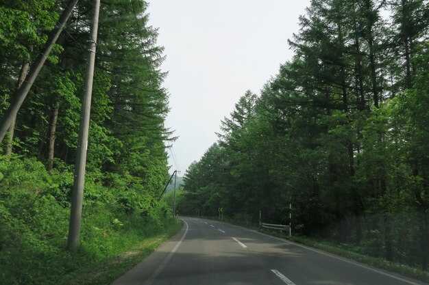 Empty road amidst trees in forest against sky