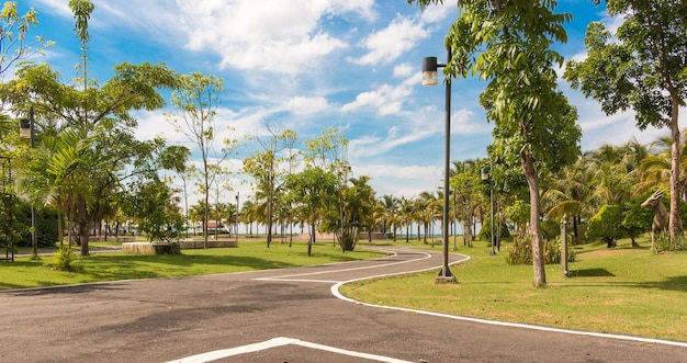 空の空に向かって公園の木の間にある空の道