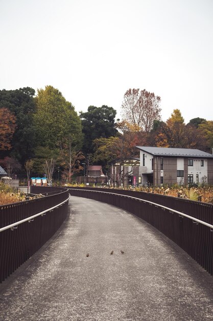 Foto strada vuota tra gli alberi contro il cielo