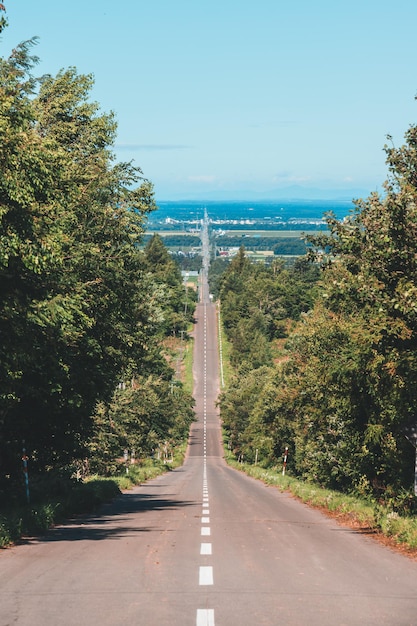 Foto strada vuota tra gli alberi contro il cielo