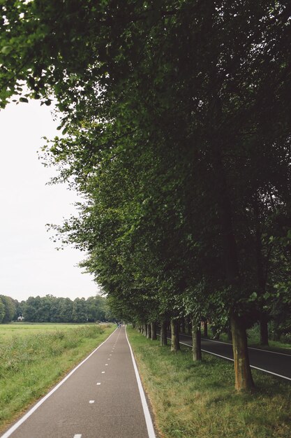 Photo empty road by trees