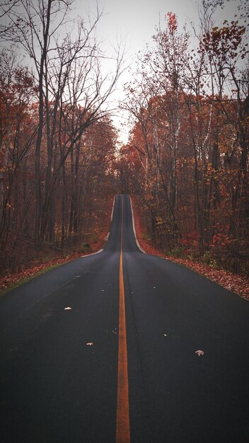 Empty road in forest during autumn