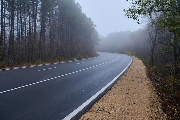 Empty road in the forest in the fog