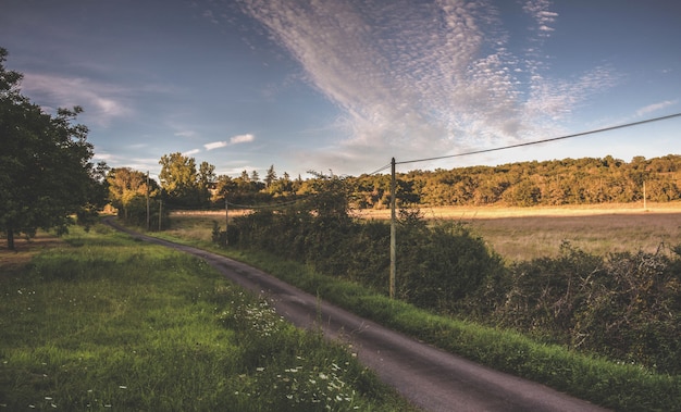 Empty road in france