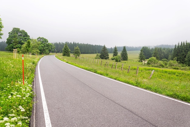 Empty road in the middle of Sumava mountains green trees alley with thick fog in the background Horska Kvilda Czech Republic cloudy summer day wanderlust concept