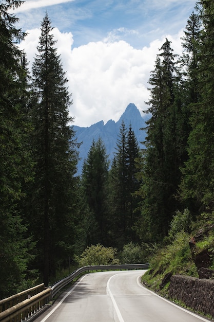 Empty road at the mountains through the pine forest