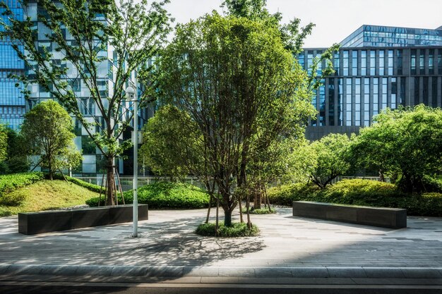 Empty road nearby office building