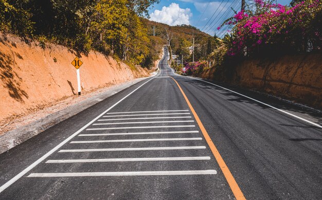 写真 晴れた日に空の道