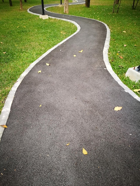 Photo empty road in park