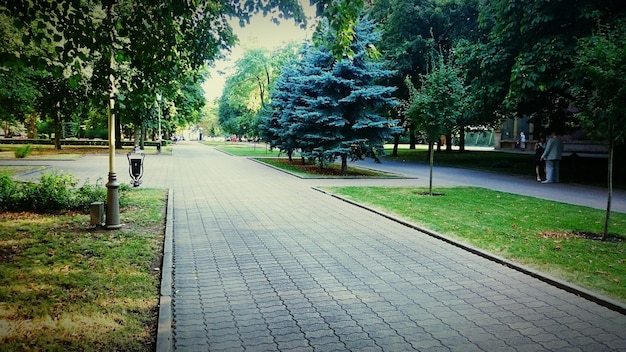 公園の空いた道路