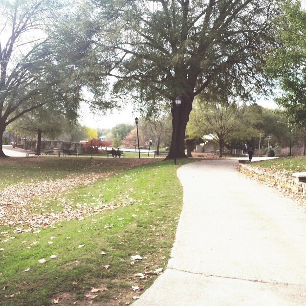 Photo empty road in park