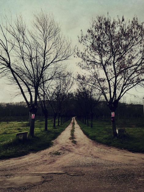 Foto strada vuota che attraversa il paesaggio