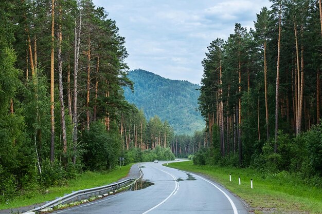 Empty road Speedway without cars in mountains amid pine forests Adventure or road trip background